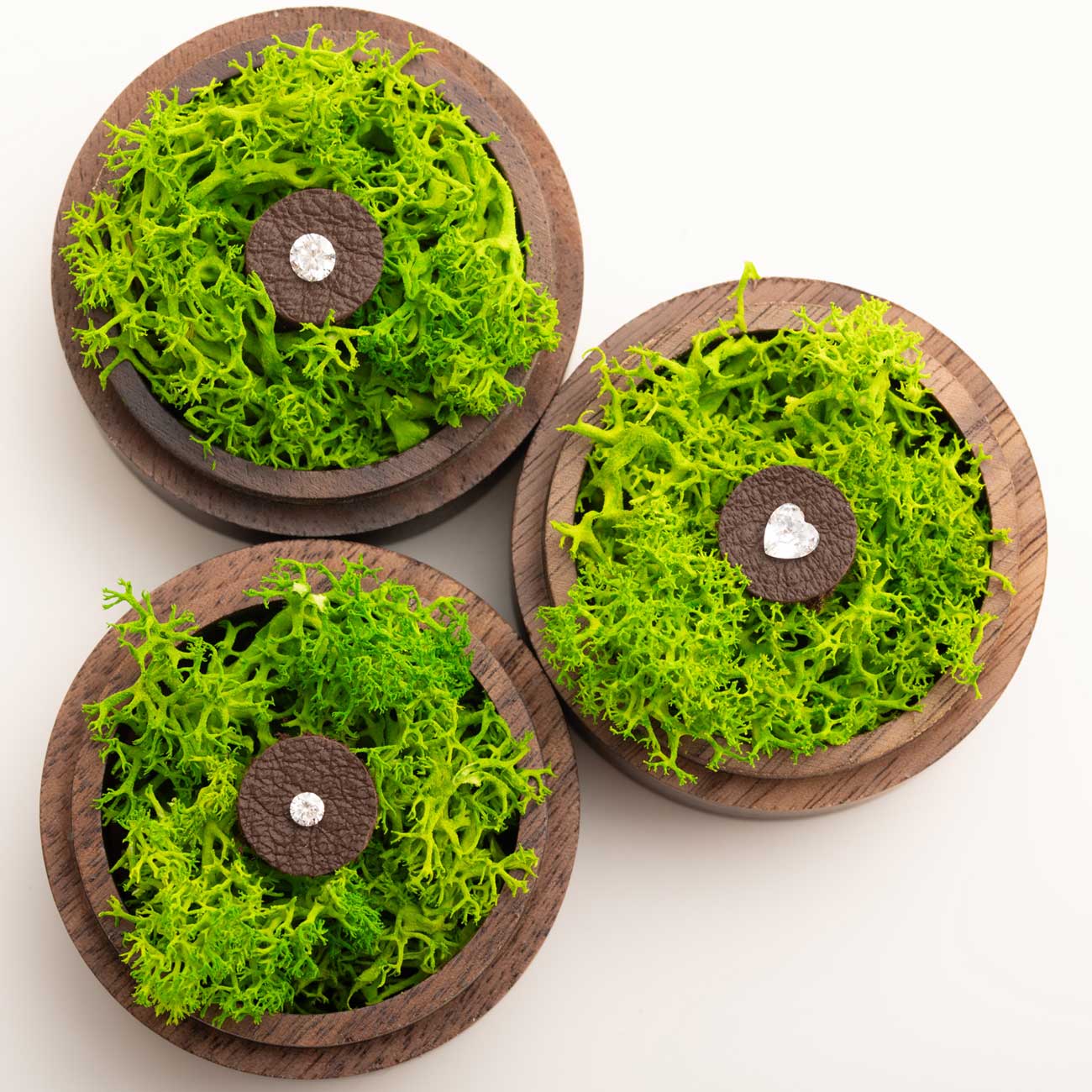 Erinnerungsdiamanten in einer eleganten Schmuckdose