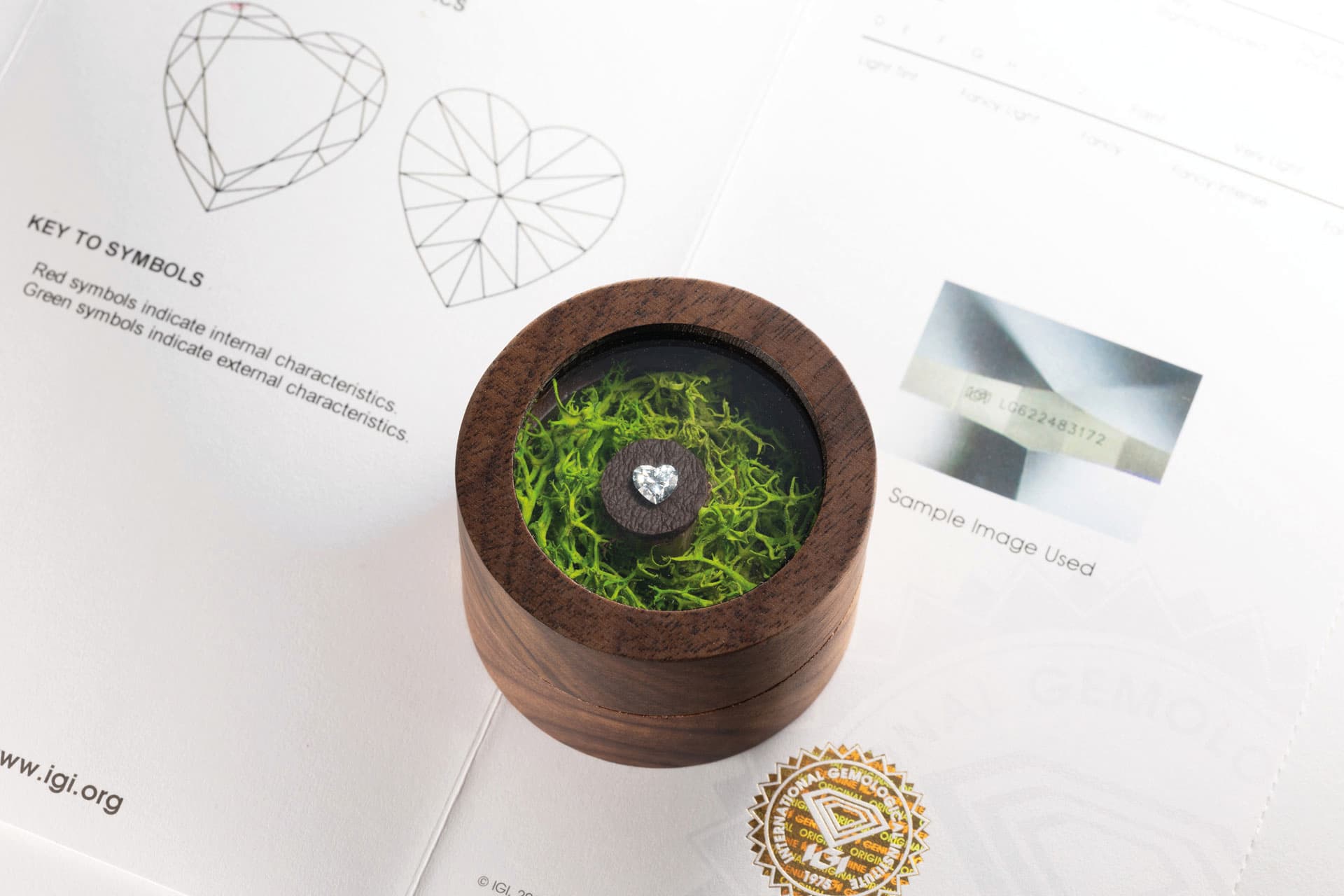Herzförmiger Diamant in einer Holzbox mit Moos auf einem IGI-Zertifikat mit Laser-Inschrift-Nummer