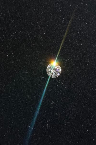 Foto von Carolin