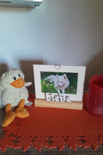 Foto von Claudia Kandur